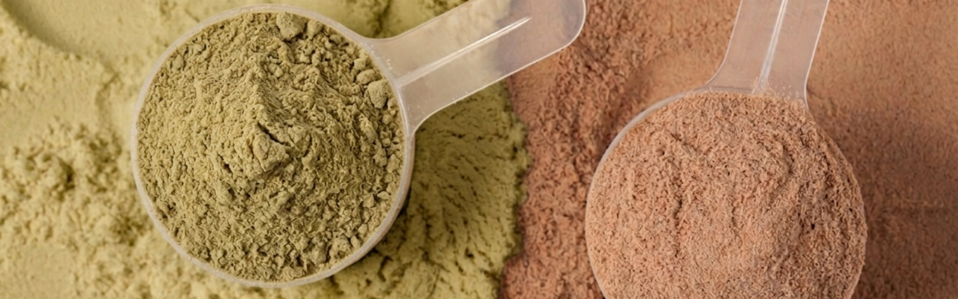Whey Protein Isolate vs Concentrate: Which Is Better for Muscle Growth?